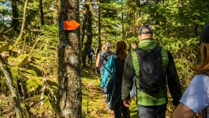 Geführte Naturwanderung durch das Biesenthaler Becken