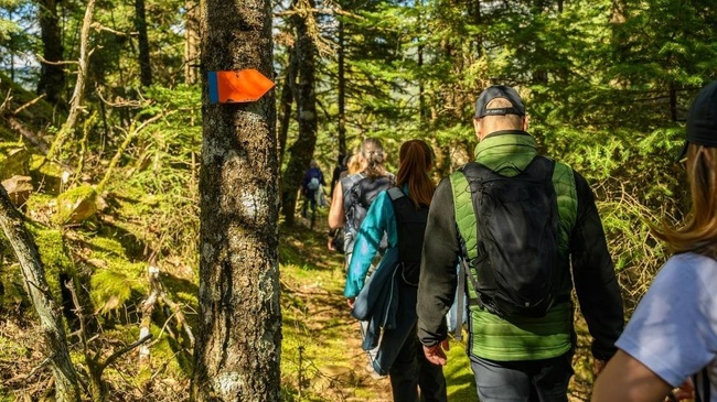 Geführte Naturwanderung durch das Biesenthaler Becken