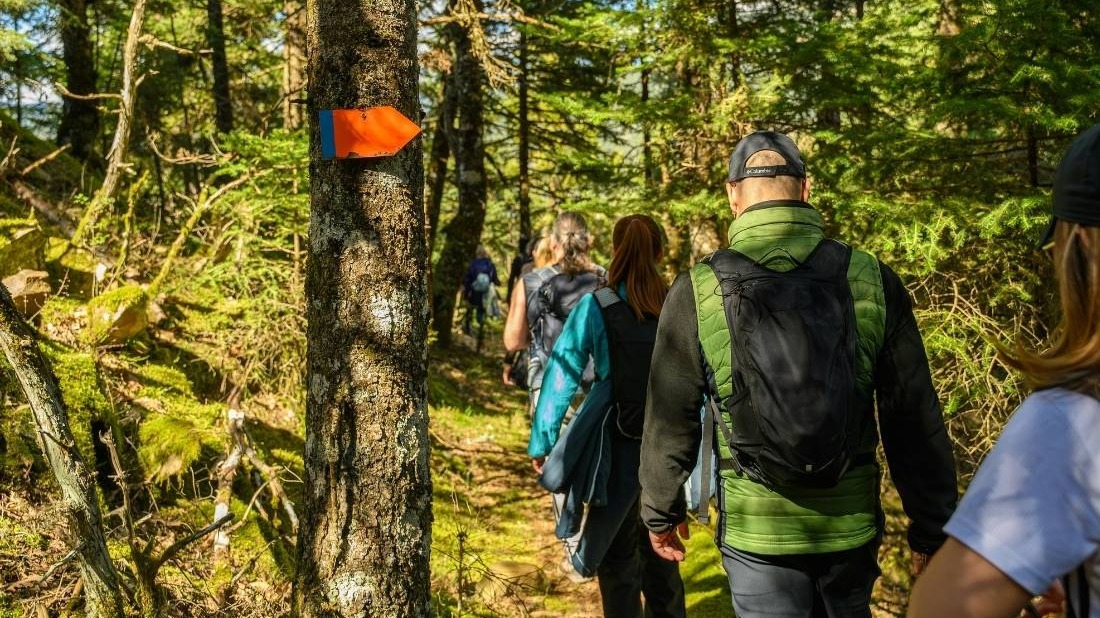 Geführte Naturwanderung durch das Biesenthaler Becken