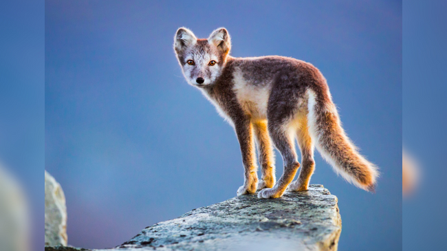 Florian und Lisa Marie Smit - Skandinavien