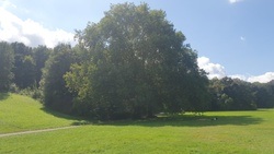 Beethovenpark