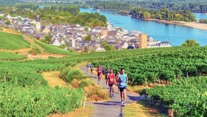 Henkell 0.0% Vinothon - Wiesbaden·Rheingau GenussMarathon