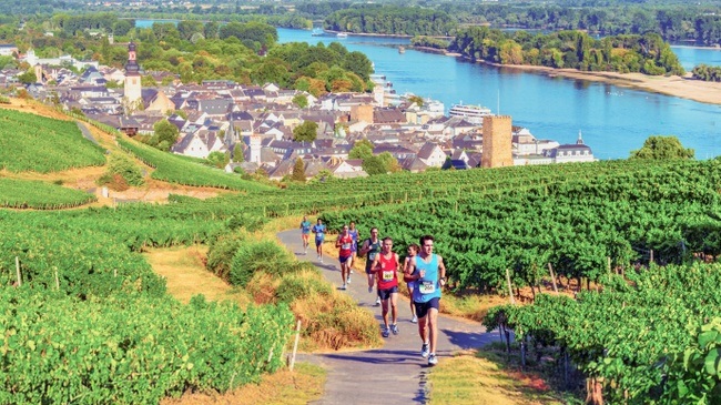 Henkell 0.0% Vinothon - Wiesbaden·Rheingau GenussMarathon