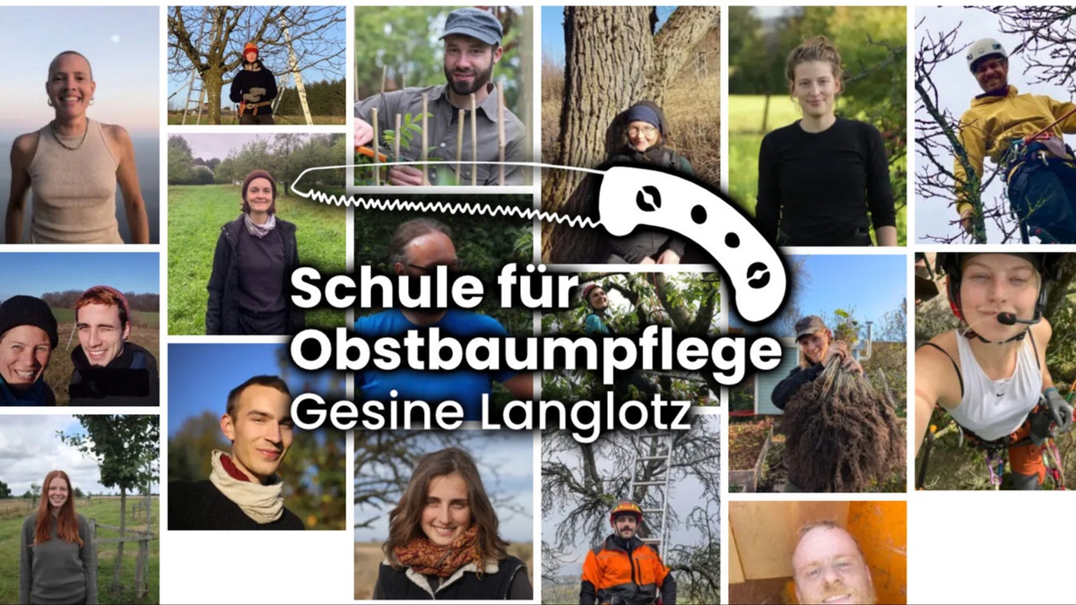 Schule für Obstbaumpflege – Gesine Langlotz