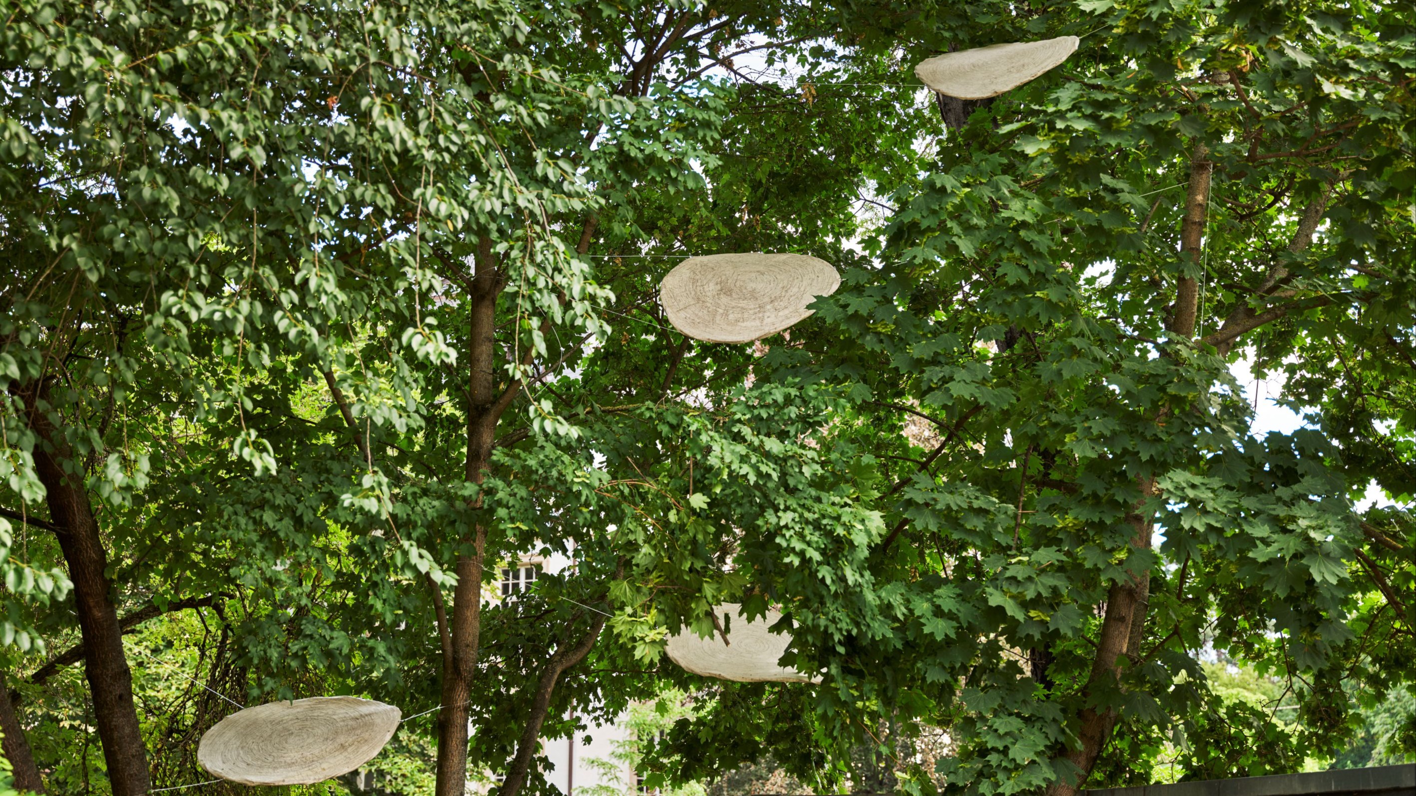 Öffentliche Einführung – IN A SILENT WAY. Skulpturen rund um die SCHIRN
