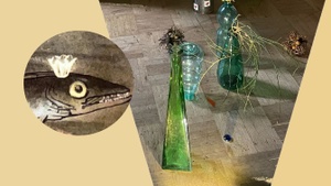 Das Aquarium oder im Schatten der Hechtkönigin