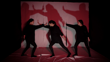 The Shadows | THEATER DER WELT