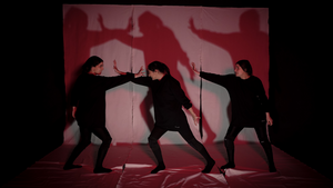 The Shadows | THEATER DER WELT
