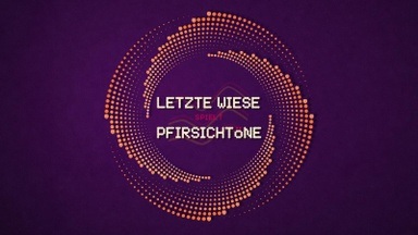 LETZTE WIESE spielt PFIRSICHTÖNE w. Banani, Danielle Arielli, Fabu, kulms, Schlecksi, Spinelli, the misprints, VOXAL