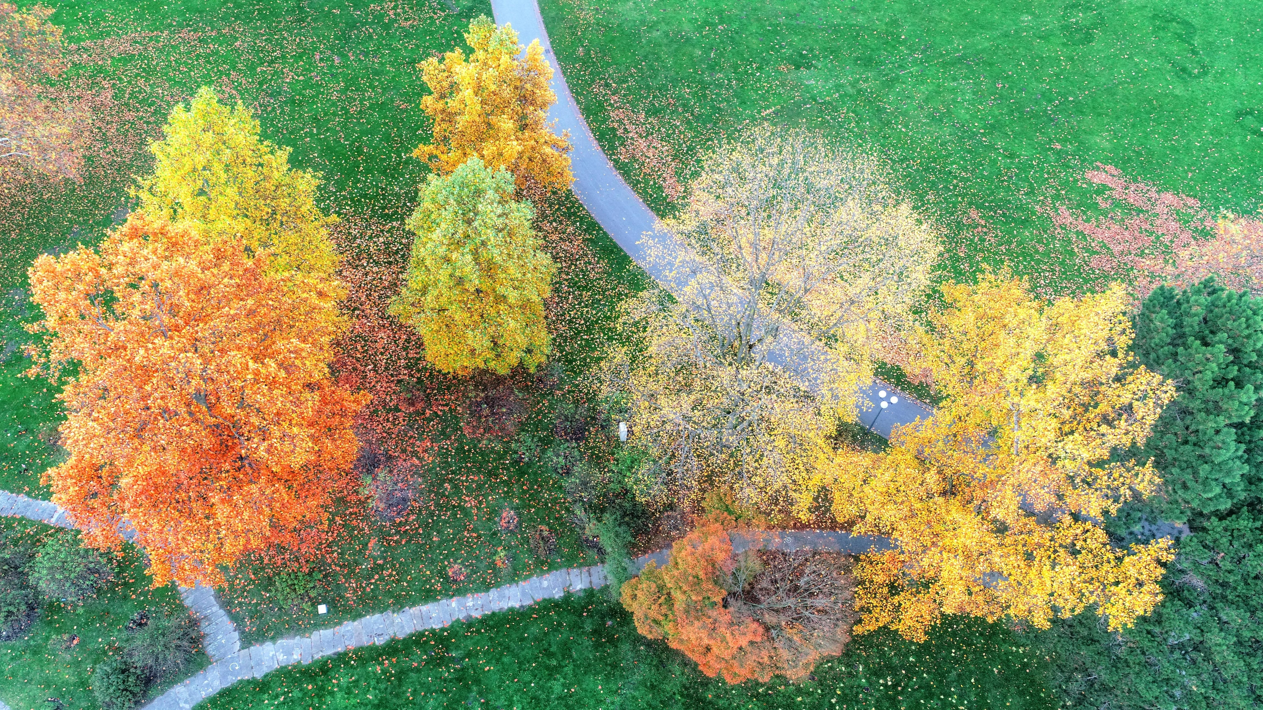 Herbstrauschen – GartenPraxis im Westfalenpark