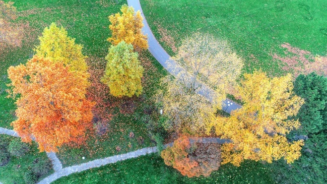Herbstrauschen – GartenPraxis im Westfalenpark