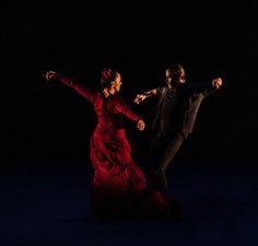 Alfonso Losa: Flamenco: espacio creativo
