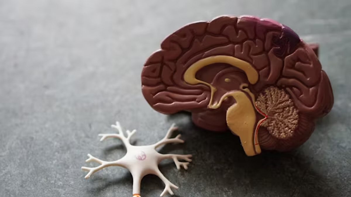 Stadtrallye: Dementia - Vergessene Geheimnisse