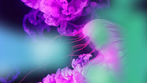 RUE OBSCURE: Der erste schweigende Salon / Schweigen - Eine bedrohte Ressource?!