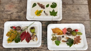 Naturerlebniszeit für Familien