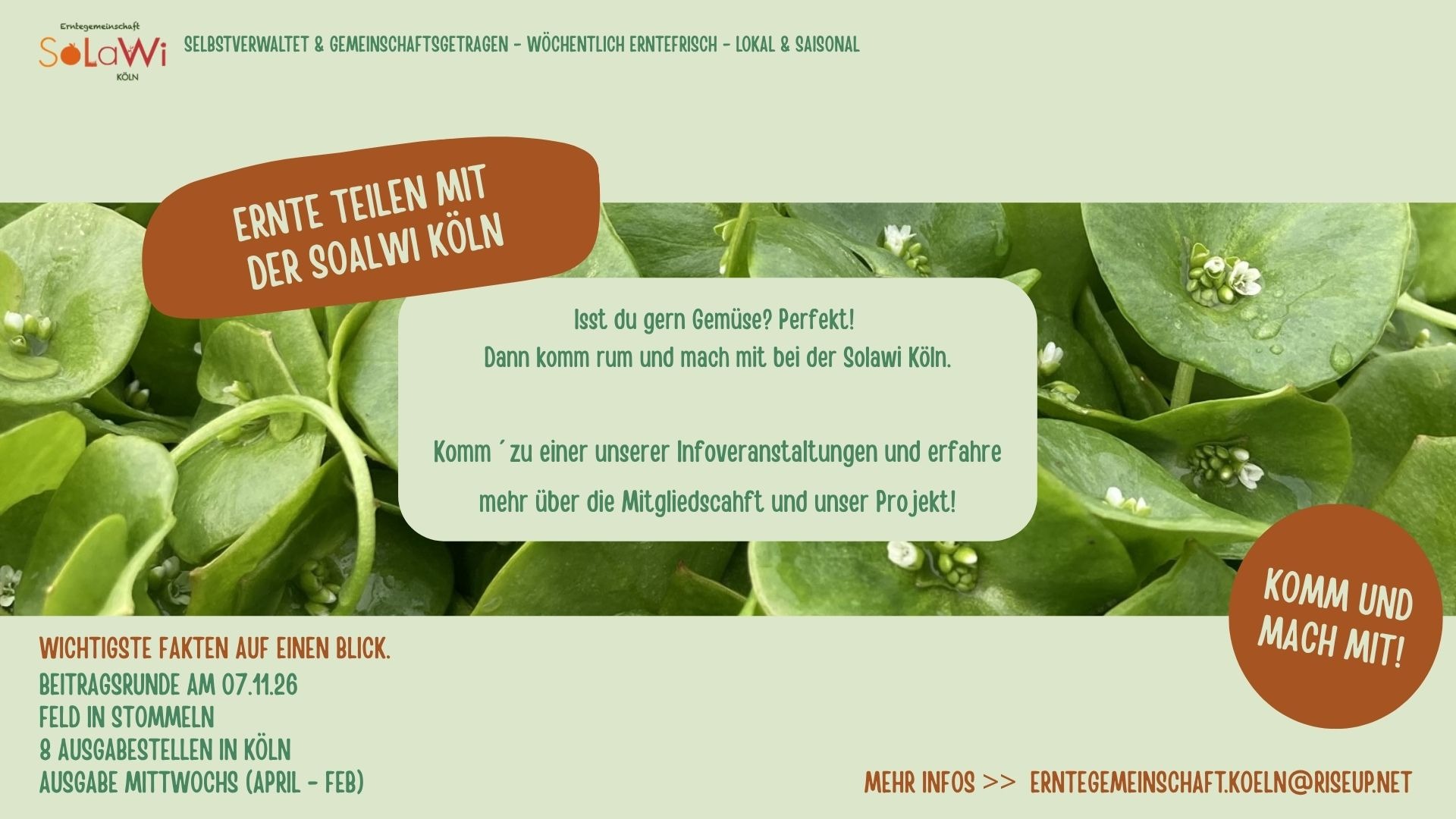 Lerne die Solidarische Landwirtschaft kennen! (Infoabend)