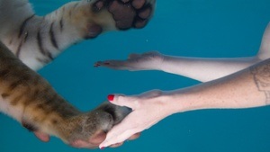 An Intimacy with Strangers