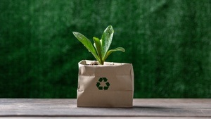 KreisLauf Leipzig: Ein neuer Stadtrundgang zeigt, welches Potenzial im Abfall steckt | Kolleg