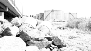 XENOS • Fremdökologien