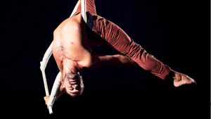 Intro To Trapeze (Beginner)