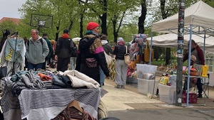 Kunst/ Pflanzen & Flohmarkt auf der Karli!