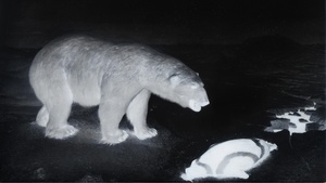 Kuratorinnenführung  "Jelena Bulajić: Untitled (after)"