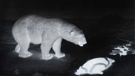 Kuratorinnenführung  "Jelena Bulajić: Untitled (after)"