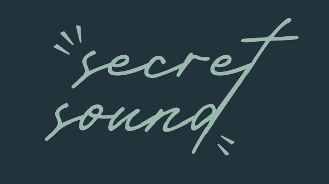 Secret Sound Vol. 4
