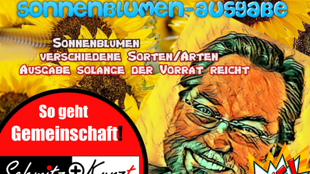 1.000 x kostenlose Sonnenblumen