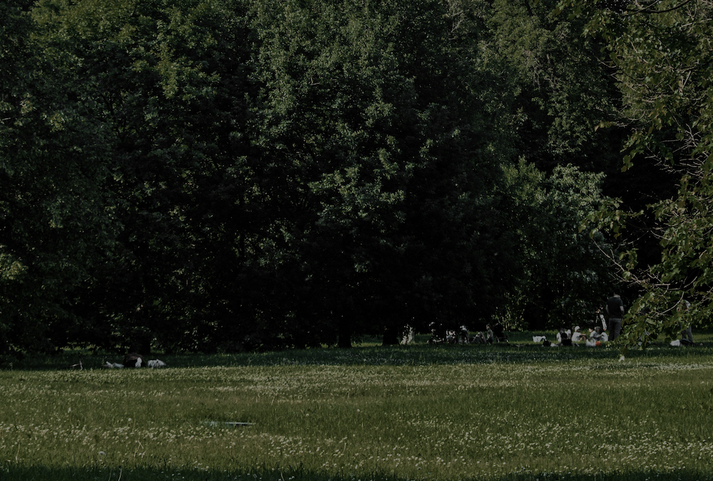 Titelbild der Location Rosensteinpark