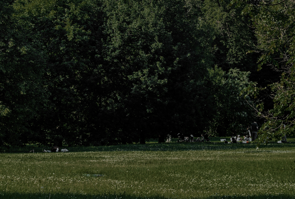 Rosensteinpark parkrun