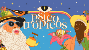 Psicotropicos Festival