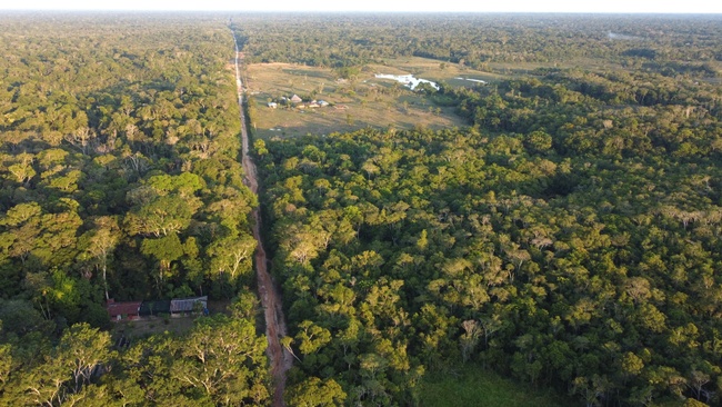 Kreativität der Natur - Expertinnentalk mit Elektrokonzert