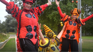 [Off-ICMC] Stelzenperformance: Insect-o-lectic