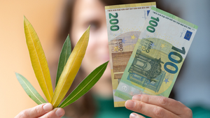 Vortrag: Ethische Geldanlage