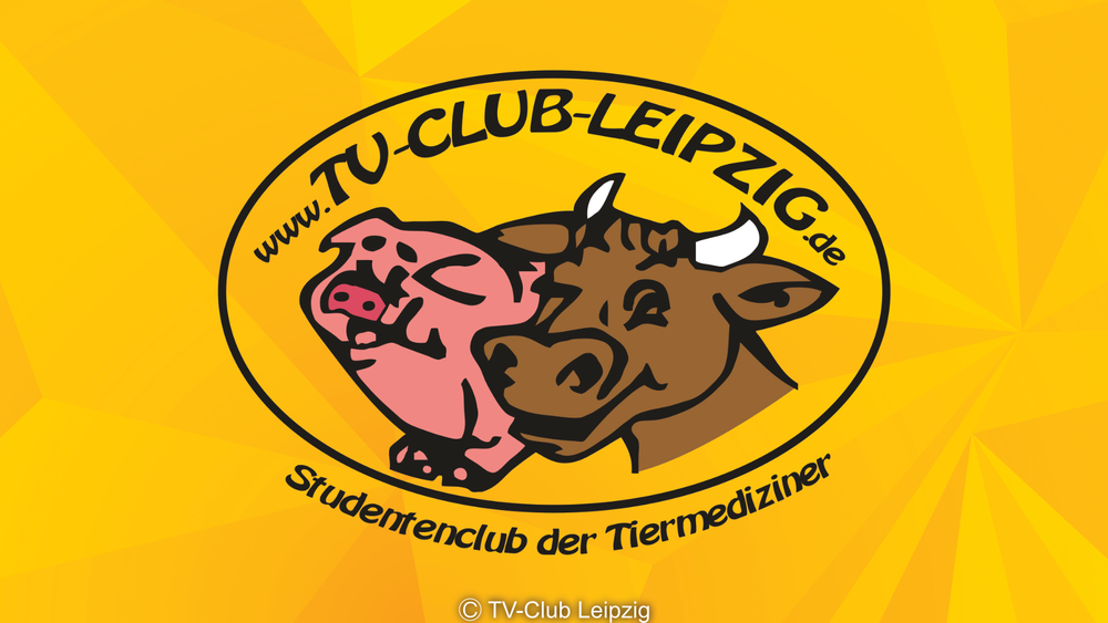 Die ultimative Donnerstagsparty