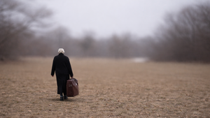 DIE GESCHICHTE DER EVA KORNGOLD