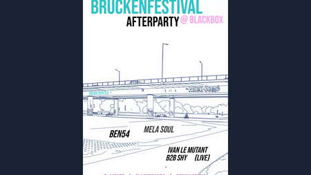 Brückenfestival Afterparty (Freitag)