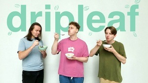 dripleaf - Modern Jazz Trio