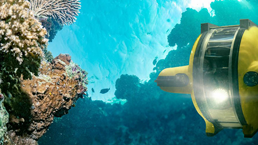 Ausstellung Expedition Weltmeere