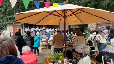 SINGEN HEILT! Das Waldfestival der Chöre