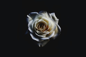 DenkStätte Die Weiße Rose