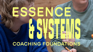 essence & systems - Workshop zum Entdecken erster Coaching Skills