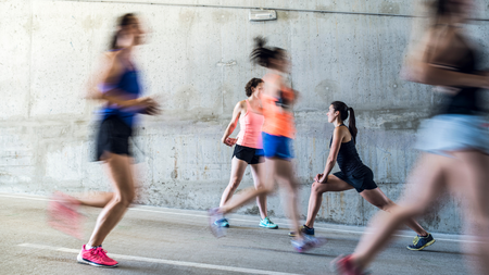 Come Dogether: Run & Connect