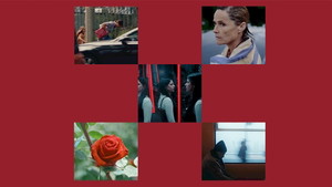 Kurzfilmabend / Short Film Competition