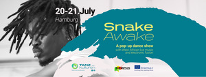 SnakeAwake - A Flash Pop-Up Performance
