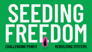 Seeding Freedom #3: Challenging Power, Rebuilding Systems