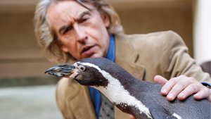 Der Pinguin meines Lebens
