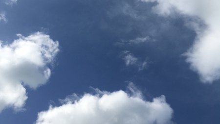 Rooted in the Wild - Perspektivwechsel und Fokus