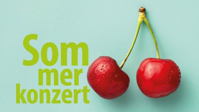 Sommerkonzert